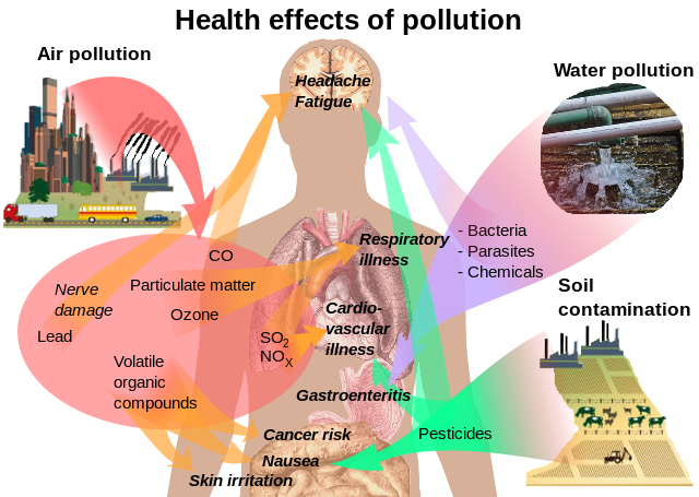 on2-Health_effects_of_pollution.svg1