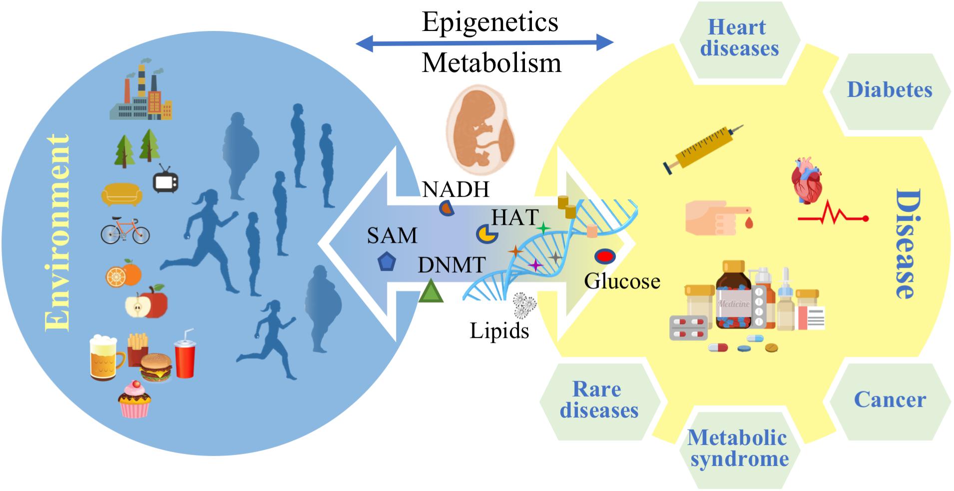 on4-epigenetics1